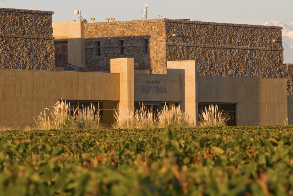 Bodega Séptima