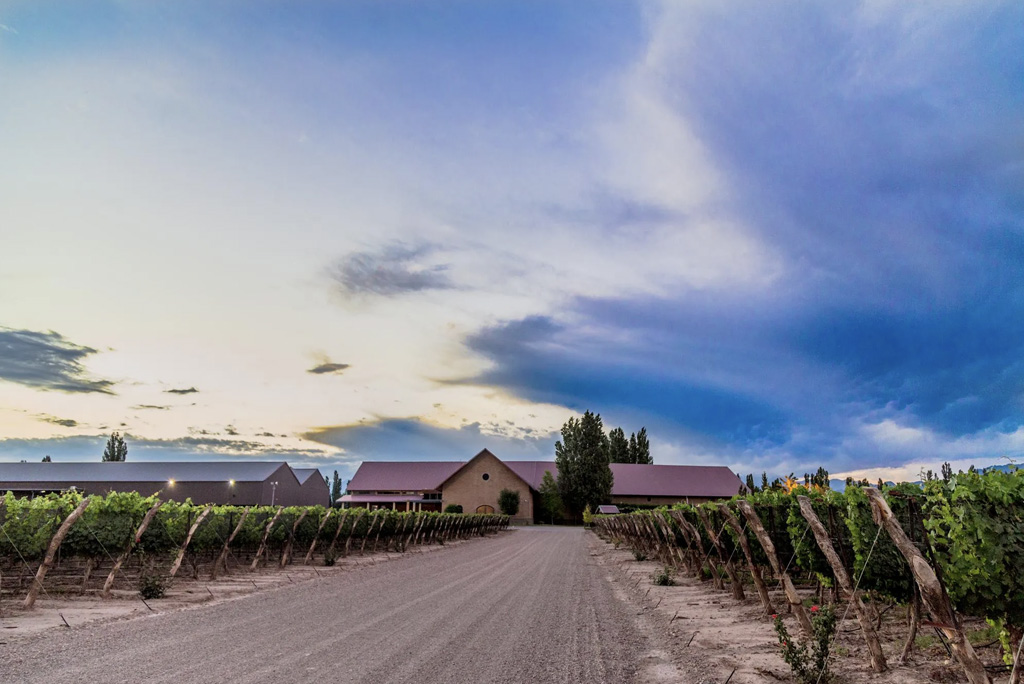 Bodega Susana Balbo