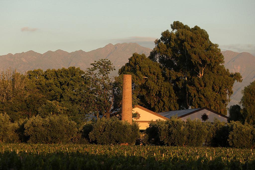 Bodegas - Lagarde