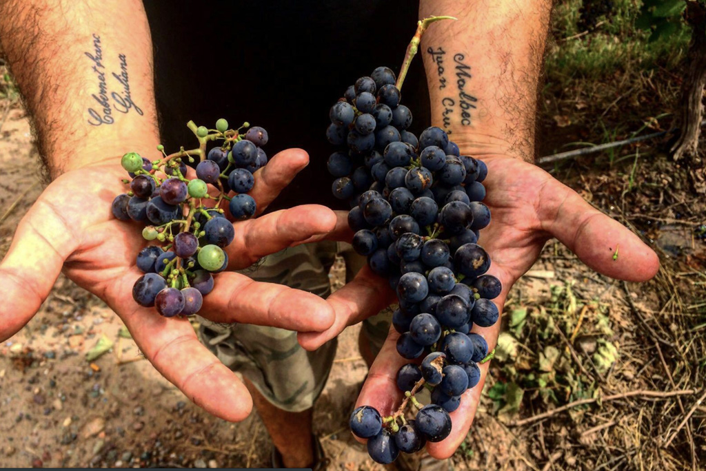 Bodega El Enemigo Wine