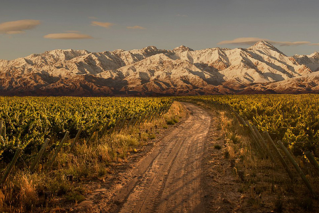 Bodega Trapiche