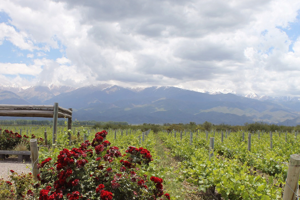 Bodegas - Salentein