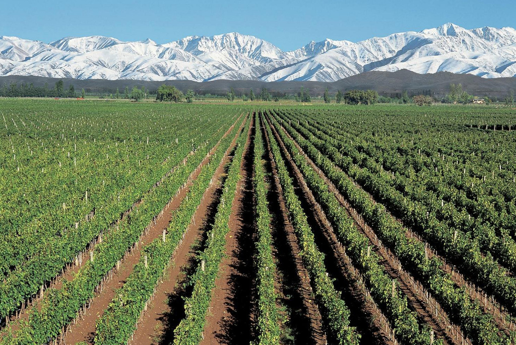 Bodega Catena Zapata