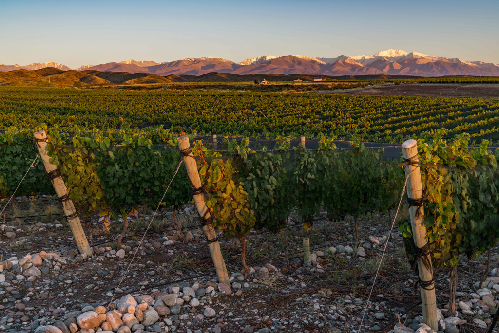 Bodega Susana Balbo