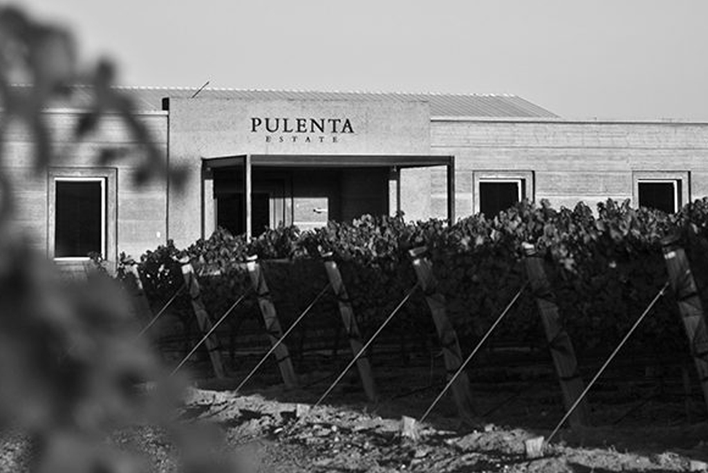 Bodegas - Pulenta Estate