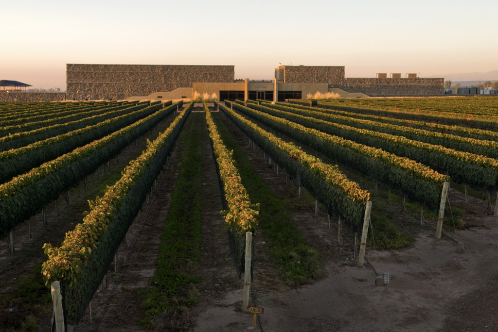 Bodega Séptima