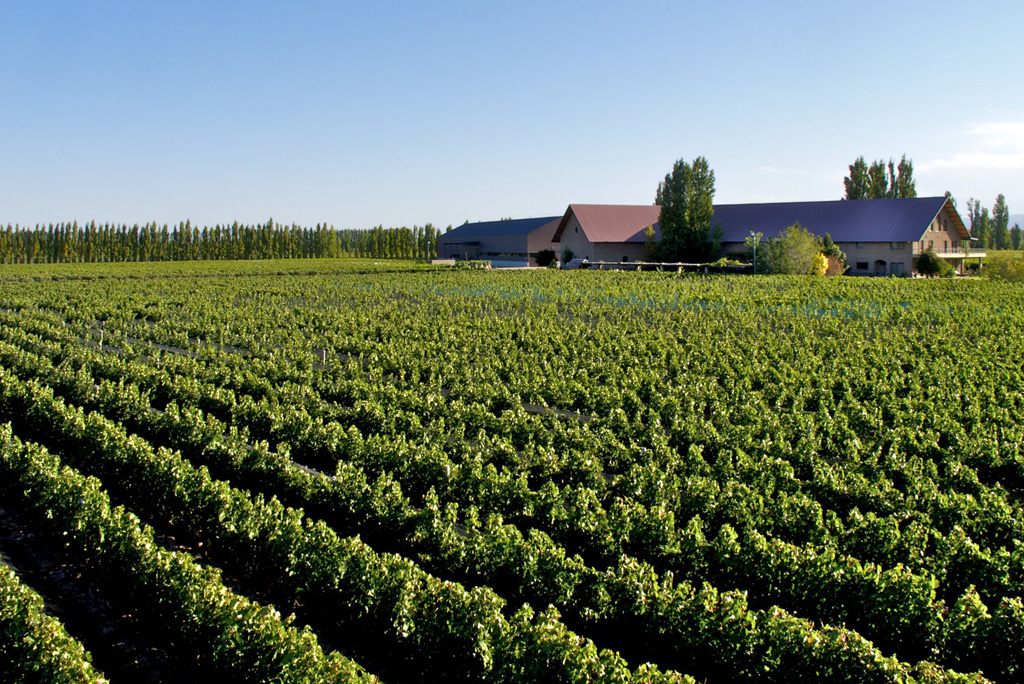 Bodega Susana Balbo