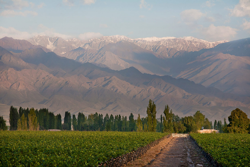 Bodega Zuccardi