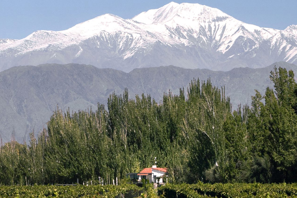 Bodegas - Finca Bandini