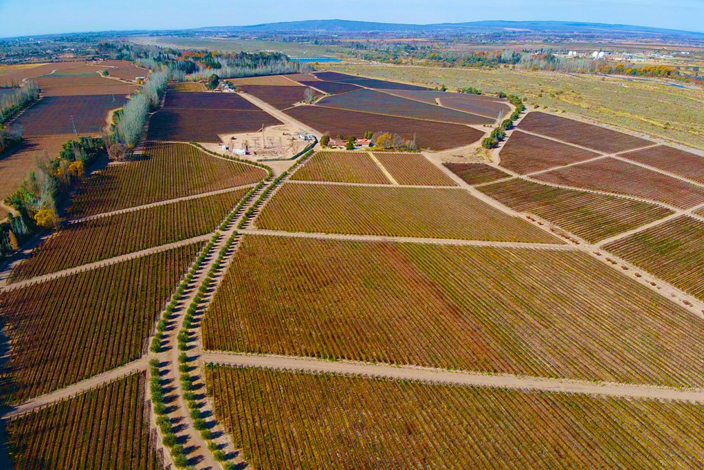 Bodegas - Finca Bandini