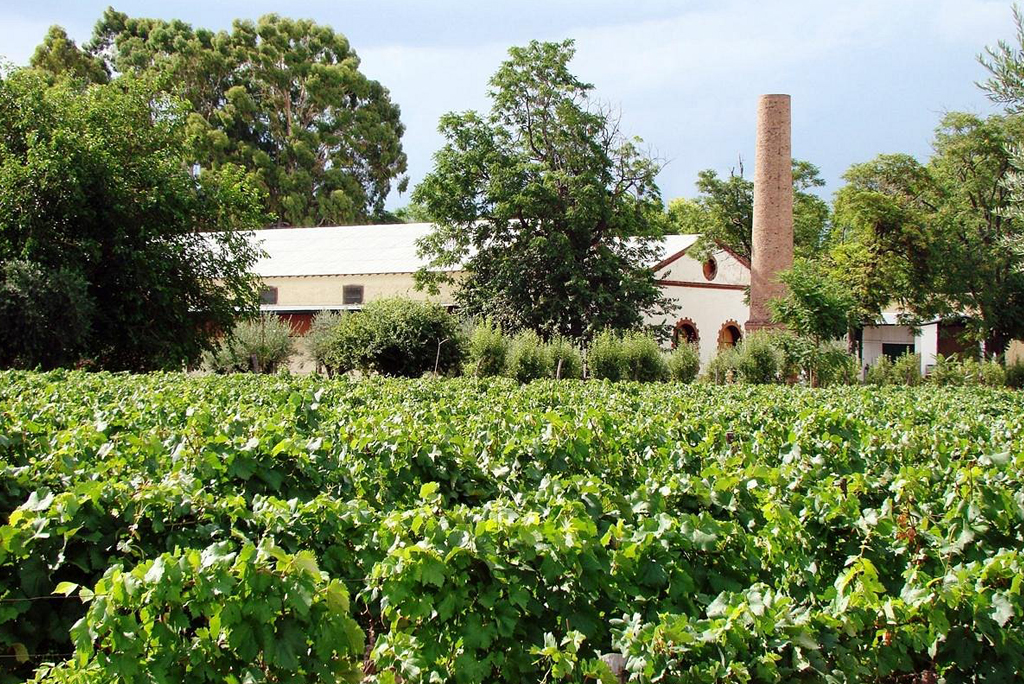 Bodegas - Lagarde