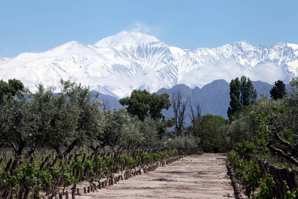 Bodegas - Lagarde