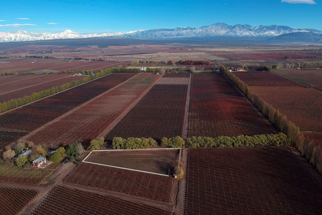 Finca La Anita